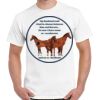 Gildan Adult Cotton Tee  Thumbnail